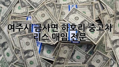 여주시 금사면 하호리 중고차 리스 매입 전문
