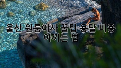 울산 원룸이사 꿀팁🍯 용달 비용 아끼는 법!
